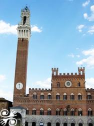 PALAZZO COMUNALE DI SIENA (PALAZZO PUBBLICO)